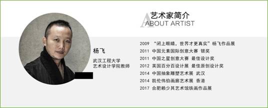 艺术家简介杨飞2